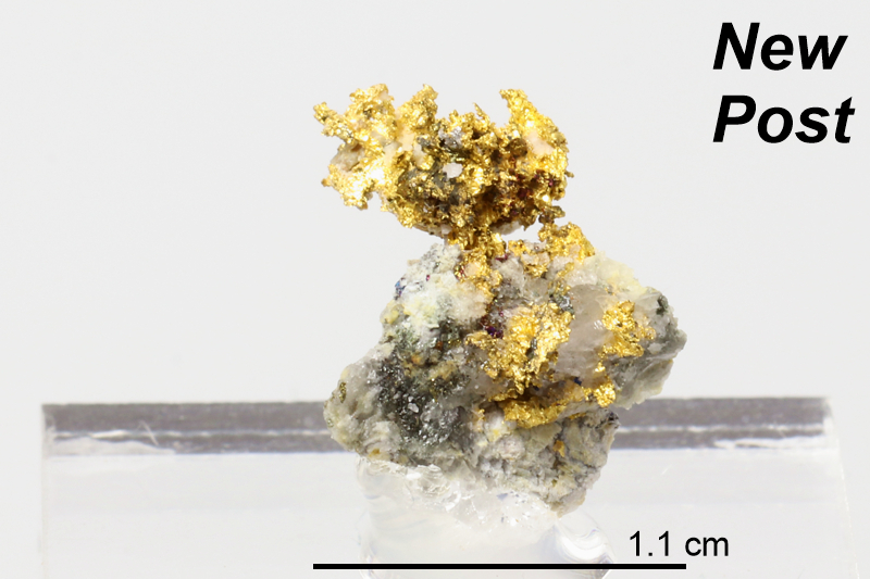 Gold (Nova Scotia)